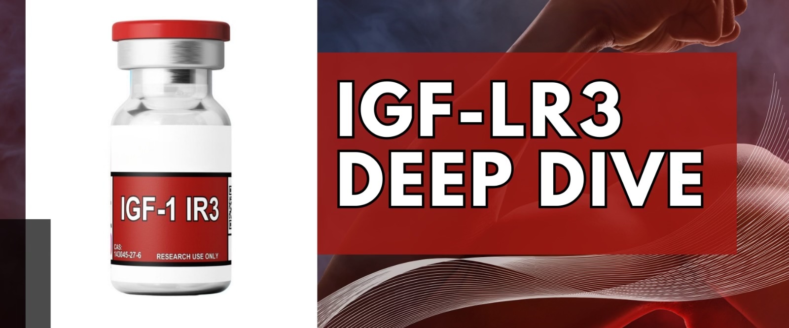 IGF-LR3