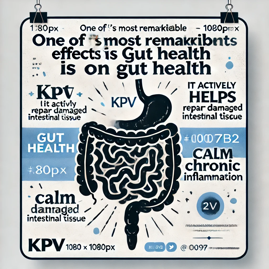 Quote graphic: ‘One of KPV’s most remarkable effects is on gut health – it actively helps repair damaged intestinal tissue and calm chronic inflammation.